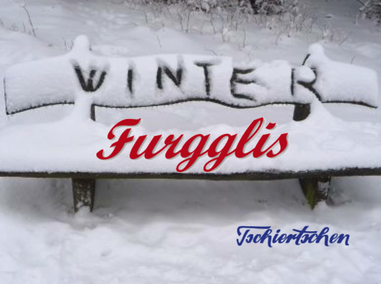 image-9250709-Winter_uf_Furgglis.w640.png